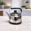 Stainless Steel Electric Kettle