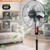 Mechanical Electric Pedestal Fan