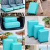 Prod_220 Premium Mint Travel Luggage Set