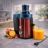 Stainless Steel Juice Extractor