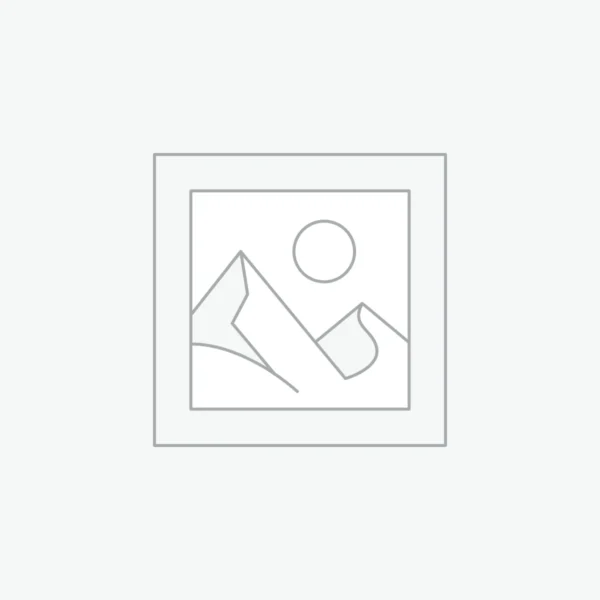 Slow Juicer – High Juice Rate Juice Extractor